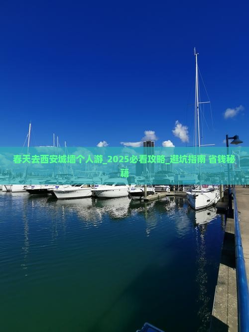 春天去西安城墙个人游