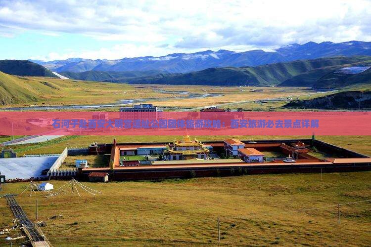 石河子去西安大明宫国家遗址公园团体旅游