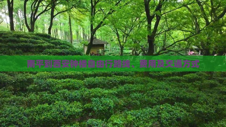 南平到西安钟楼自由行