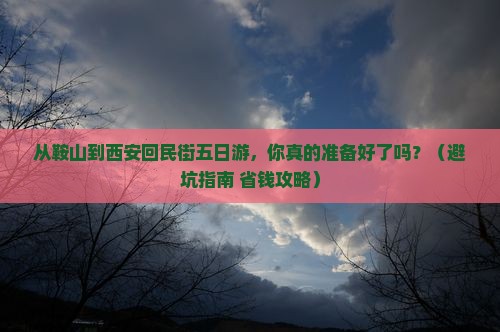 鞍山到西安回民街五日游