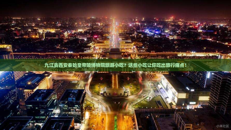九江去西安秦始皇帝陵博物院旅游小吃