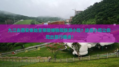 九江去西安秦始皇帝陵博物院旅游小吃