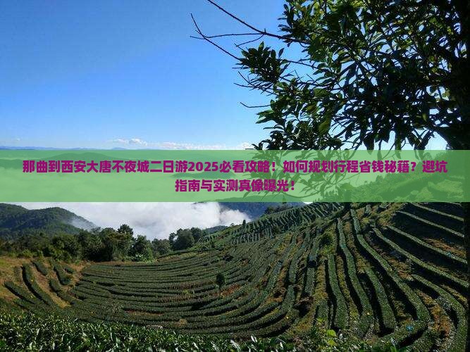 那曲到西安大唐不夜城二日游