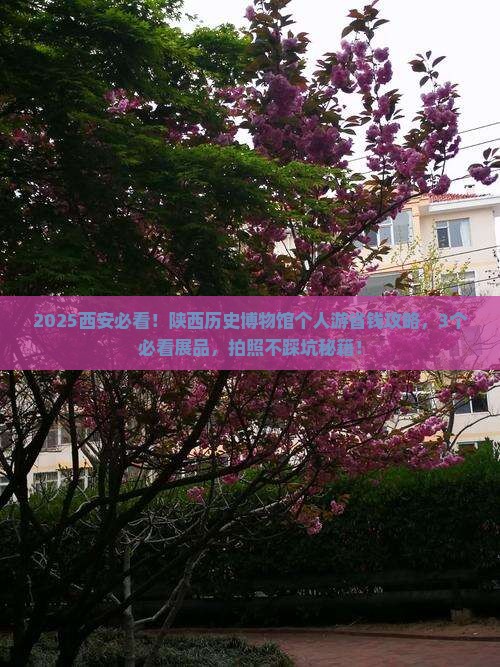 吴忠去西安陕西历史博物馆个人游