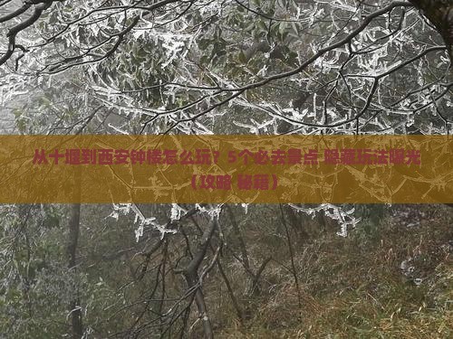 十堰去西安钟楼哪里玩