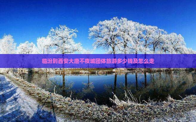 临汾到西安大唐不夜城团体旅游