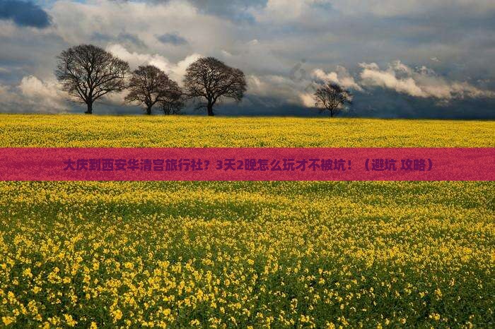 大庆到西安华清宫旅行社
