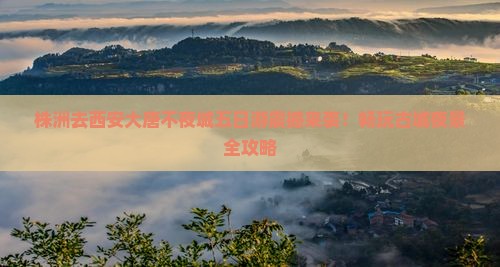 株洲去西安大唐不夜城五日游