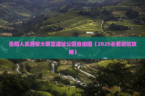 岳阳去西安大明宫国家遗址公园自由团