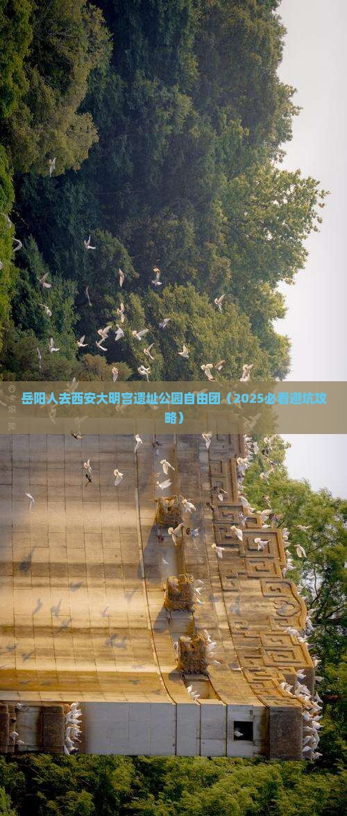 岳阳去西安大明宫国家遗址公园自由团