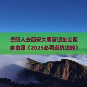 岳阳去西安大明宫国家遗址公园自由团