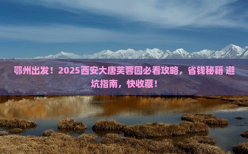 鄂州到西安大唐芙蓉园必去地