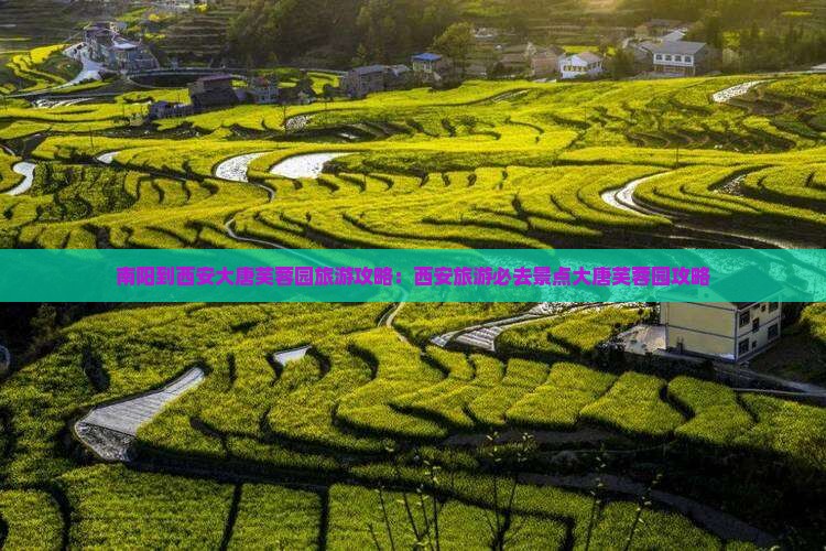 南阳到西安大唐芙蓉园攻略