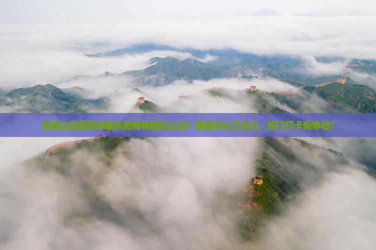 武夷山去西安陕西历史博物馆团体旅游