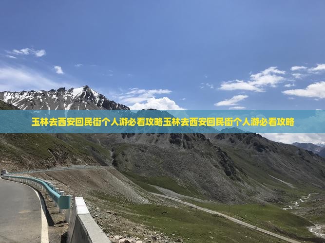 玉林去西安回民街个人游