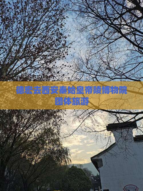 德宏去西安秦始皇帝陵博物院团体旅游