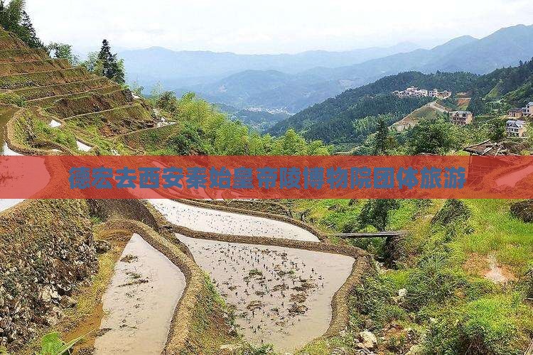 德宏去西安秦始皇帝陵博物院团体旅游