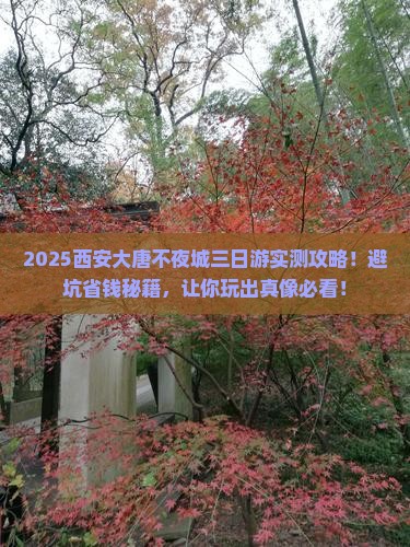 春天到西安大唐不夜城三日游