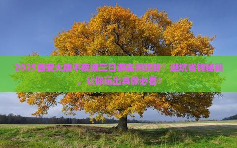 春天到西安大唐不夜城三日游