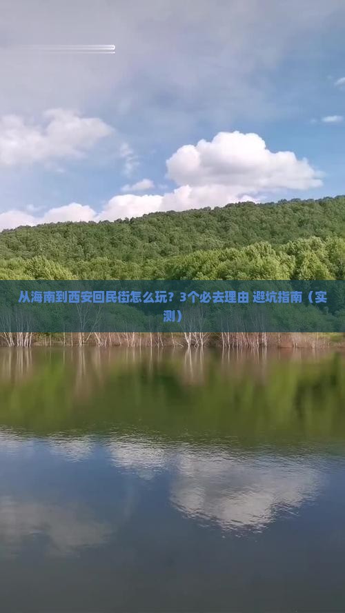 海南省直辖去西安回民街景点