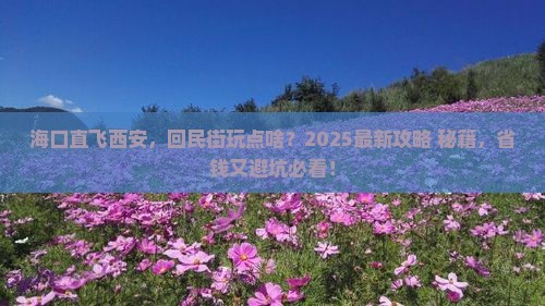 海口到西安回民街哪里玩