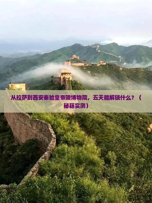 拉萨去西安秦始皇帝陵博物院五日游