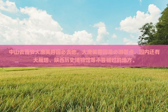 中山去西安大唐芙蓉园必去地