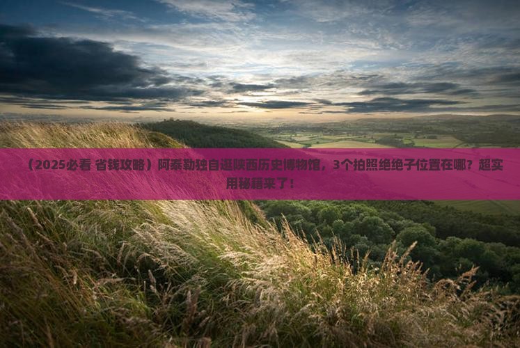 阿泰勒到西安陕西历史博物馆个人游