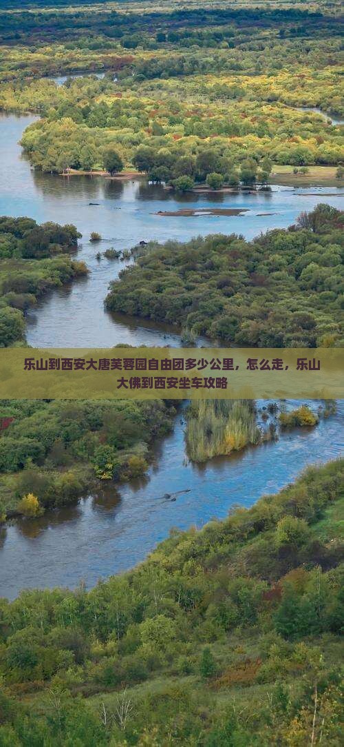 乐山到西安大唐芙蓉园自由团