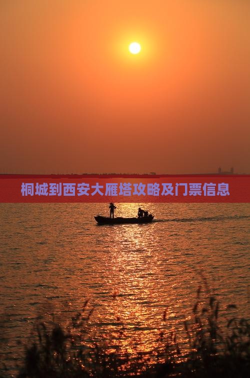 桐城到西安大雁塔门票