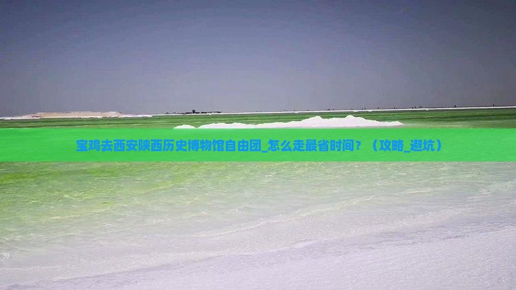 宝鸡去西安陕西历史博物馆自由团
