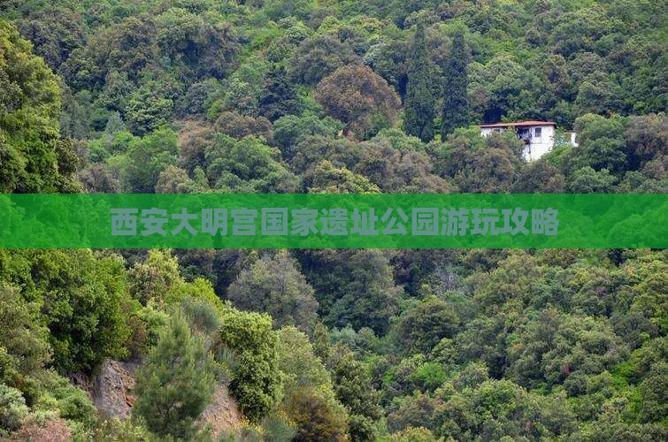 榆林到西安大明宫国家遗址公园攻略