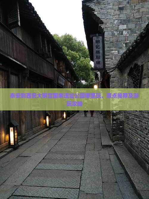 泰安到西安大明宫国家遗址公园哪里玩