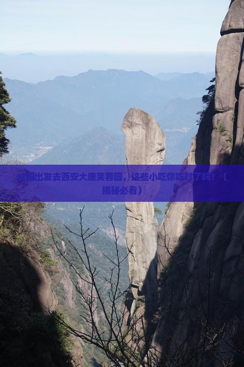 咸阳去西安大唐芙蓉园旅游小吃
