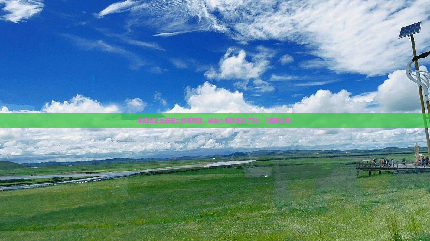 咸阳去西安大唐芙蓉园旅游小吃