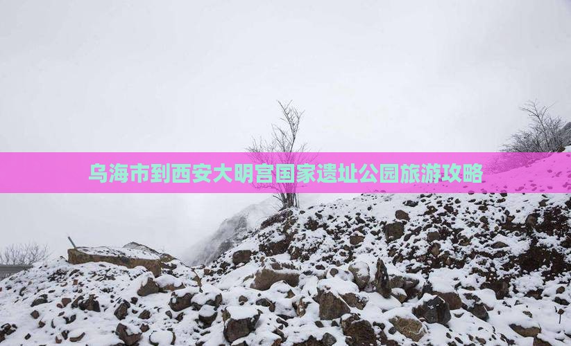 乌海市到西安大明宫国家遗址公园景点