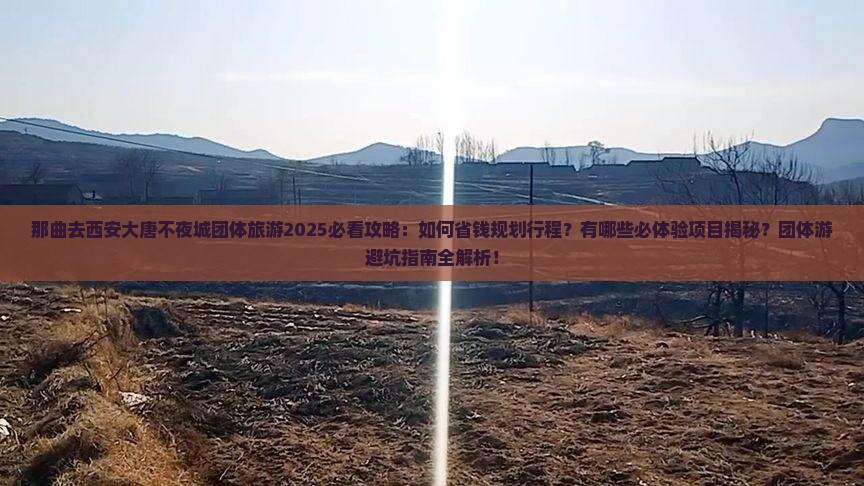 那曲去西安大唐不夜城团体旅游