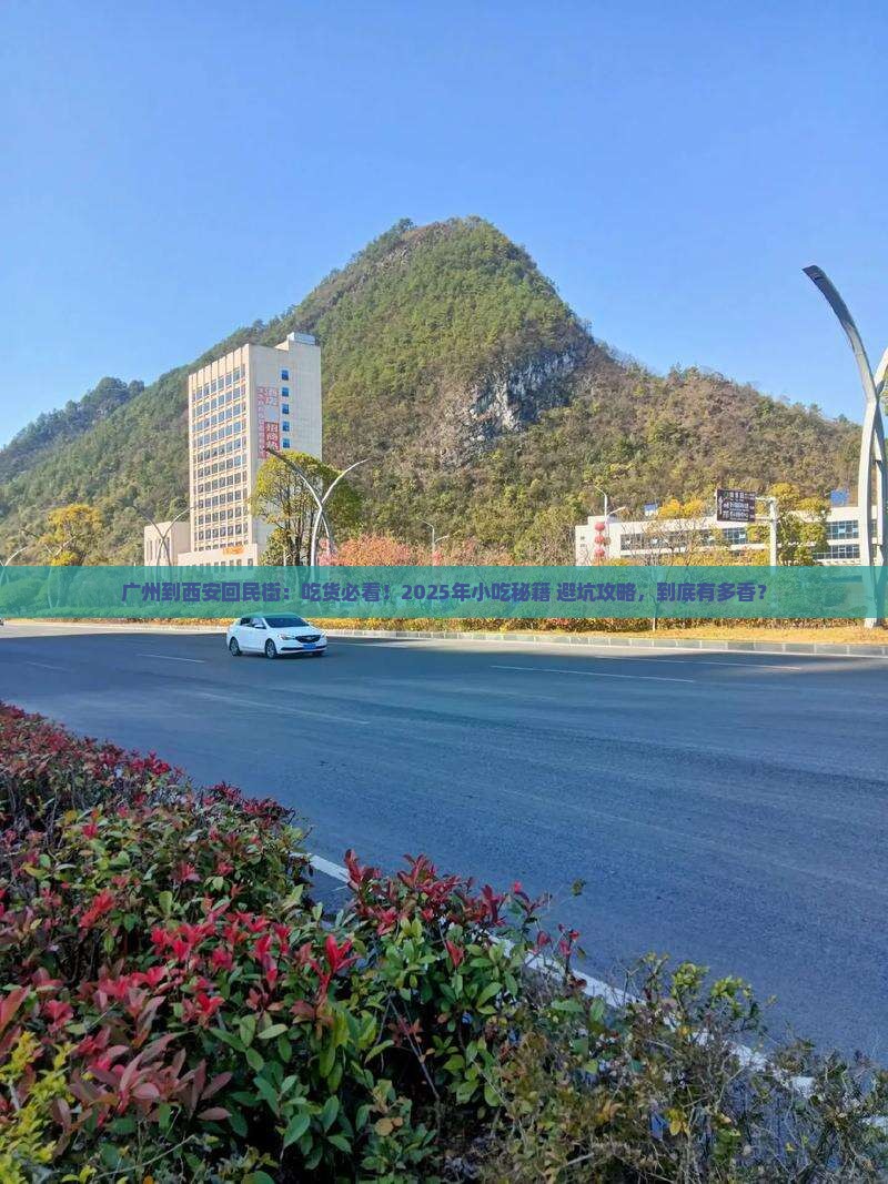 广州到西安回民街旅游小吃