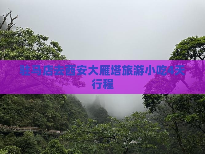 驻马店去西安大雁塔旅游小吃