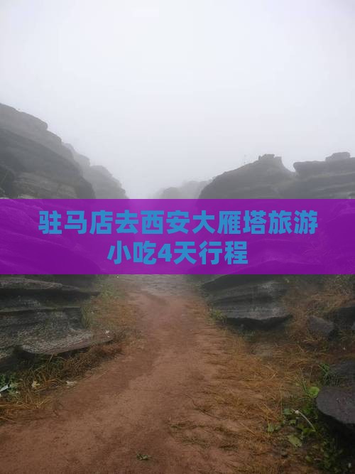 驻马店去西安大雁塔旅游小吃