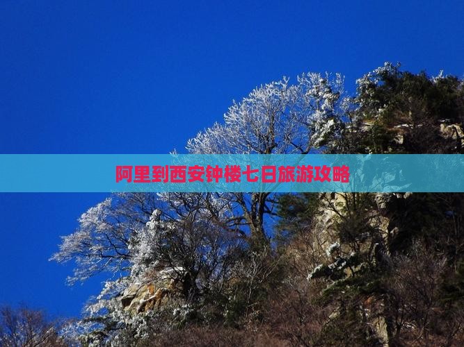 阿里到西安钟楼七日游
