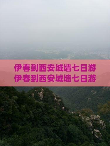 伊春到西安城墙七日游