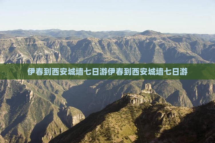 伊春到西安城墙七日游