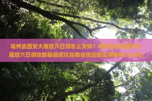 亳州去西安大雁塔六日游