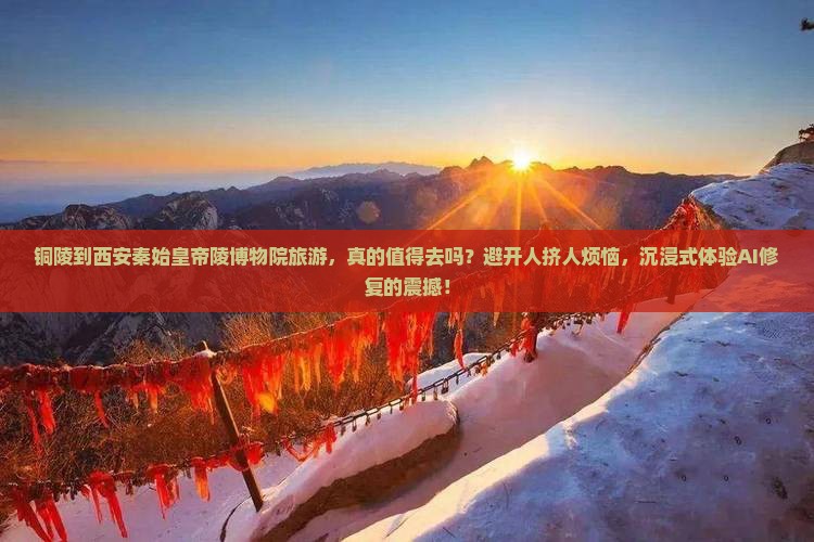 铜陵到西安秦始皇帝陵博物院旅游