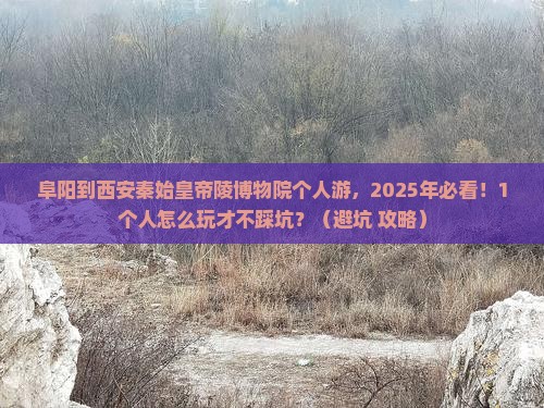 阜阳到西安秦始皇帝陵博物院个人游