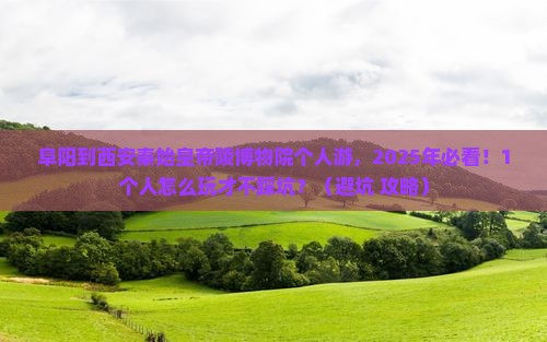 阜阳到西安秦始皇帝陵博物院个人游