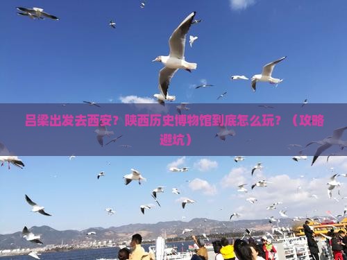 吕梁去西安陕西历史博物馆必去地