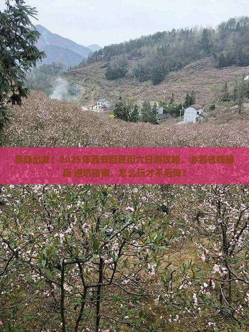 赤峰到西安回民街六日游