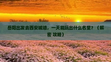 岳阳到西安城墙一日游